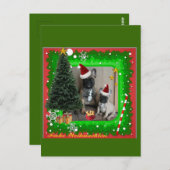 Französische Bulldoggen Weihnachten Feier Postkarte (Vorne/Hinten)