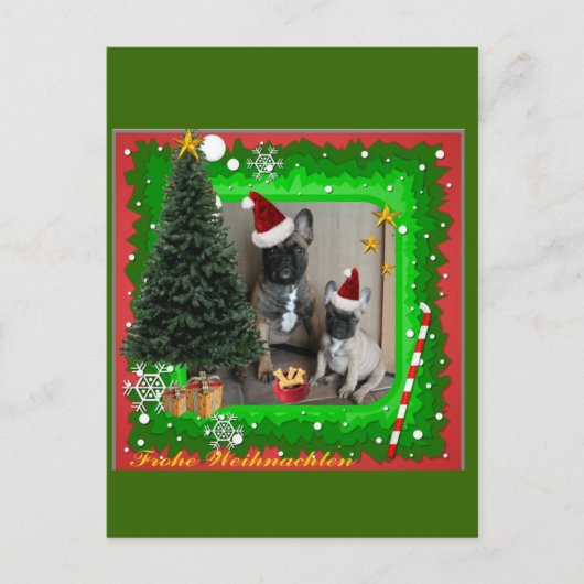 Französische Bulldoggen Weihnachten Feier Postkarte (Vorderseite)