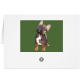 Französische Bulldoggen Weihnachtskarte (Rückseite Horizontal)