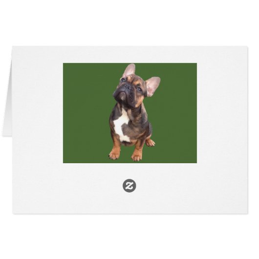 Französische Bulldoggen Weihnachtskarte (Rückseite Horizontal)