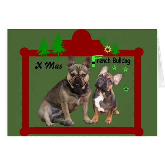 Französische Bulldoggen Weihnachtskarte (Vorderseite (Horizontal))