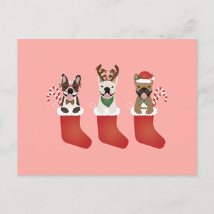 Französische Bulldoggen-Weihnachtsstrümpfe Postkarte