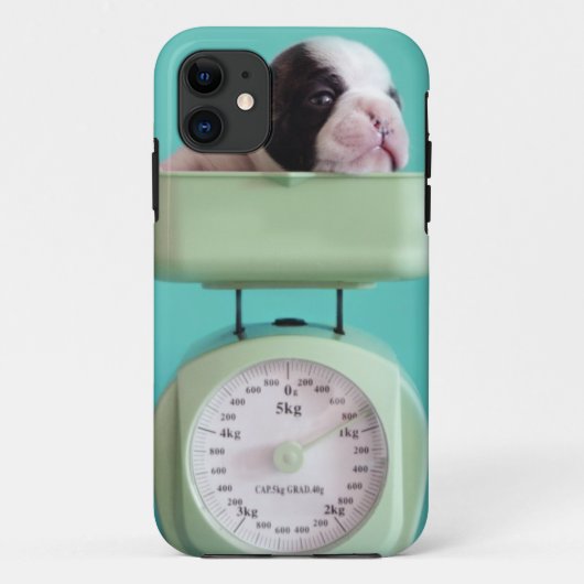 Französische Bulldoggen-Welpe Case-Mate iPhone Hülle (Rückseite)