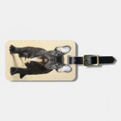 Französische Bulldoggen-Welpe Gepäckanhänger (Vorderseite horizontal)