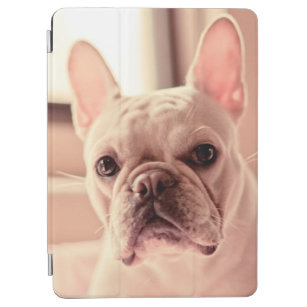 Französische Bulldoggen-Welpe iPad Air Hülle