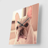 Französische Bulldoggen-Welpe Quadratische Wanduhr (Winkel)