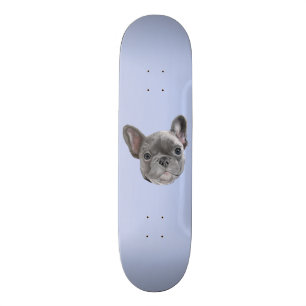 Französische Bulldoggen-Welpe Skateboard