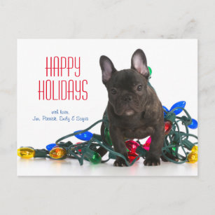 Franzosische Bulldogge Karten Zazzle De
