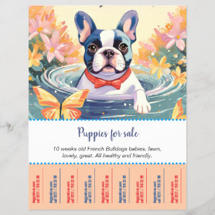 Französische Bulldoggen-Welpen Flyer