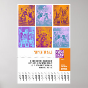 Französische Bulldoggen Welpen für den Verkauf rie Poster