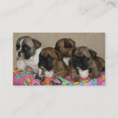Französische Bulldoggen Welpen Visitenkarten Visitenkarte (Vorderseite)