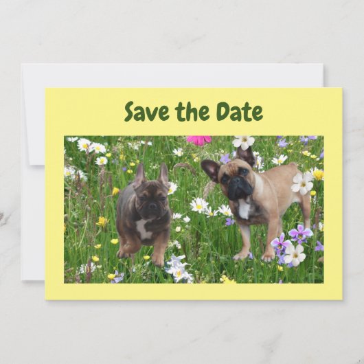 Französische. Bulldoggen Wiese French Bulldog Einladung (Vorderseite)