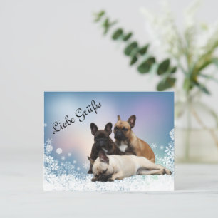 Französische Bulldoggen Winterlandschaft Postkarte