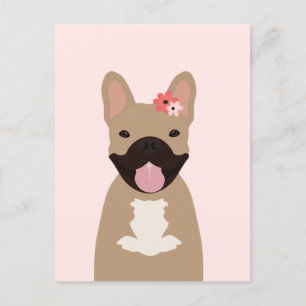 Französische Bulldogs lächeln Blume pink Postkarte