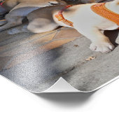 Französische Bulldogs Schlafen Fotodruck (Ecke)