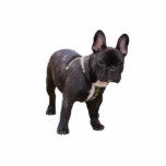 Französische Bulldogskulptur, Geschenkidee Freistehende Fotoskulptur<br><div class="desc">Niedliche kleine schwarze französische Bulldogskulptur.  tolle Geschenkidee für Hundefreunde,  Kinder,  Kinder</div>