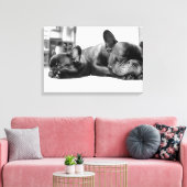 Französische Bullhunde Welpen, die nebeneinander s Leinwanddruck (Insitu (Wohnzimmer))