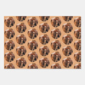 Französische Dollars und Freunde Geschenkpapier Set (Vorderseite)