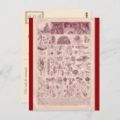 Französische Enzyklopädie 1920, Pilze Postkarte (Vorne/Hinten)