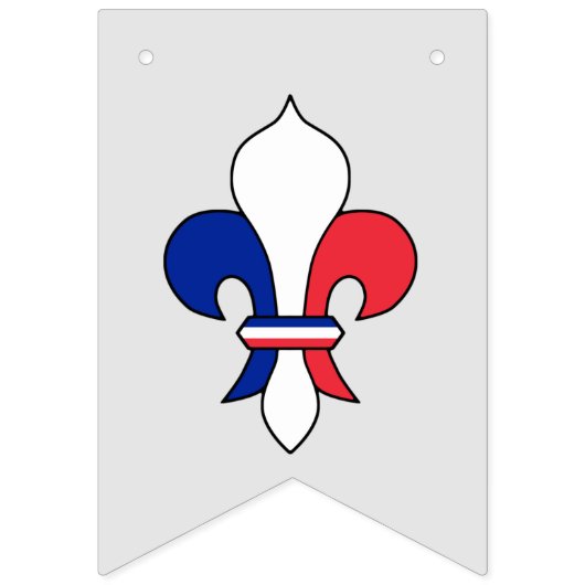 Französische Flagge & Fleur De Lys Party Frankreic (Dritte Fahne)