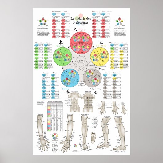 Französische Fünf-Elemente-Akupunktur Poster (Vorne)