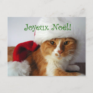 Französische Grüßende Katze in Santa Hut Postkarte