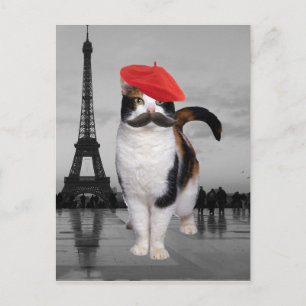 Französische Katze in Paris Postkarte