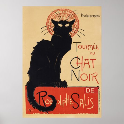 Französische Katze Poster (Vorne)