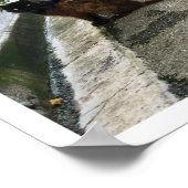 Französische Katze Poster (Ecke)