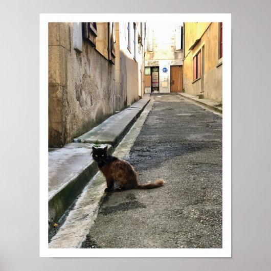 Französische Katze Poster (Vorne)