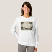 Französische Kolonien in Afrika T-Shirt (Vorne ganz)