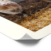 Französische Kühe Poster (Ecke)