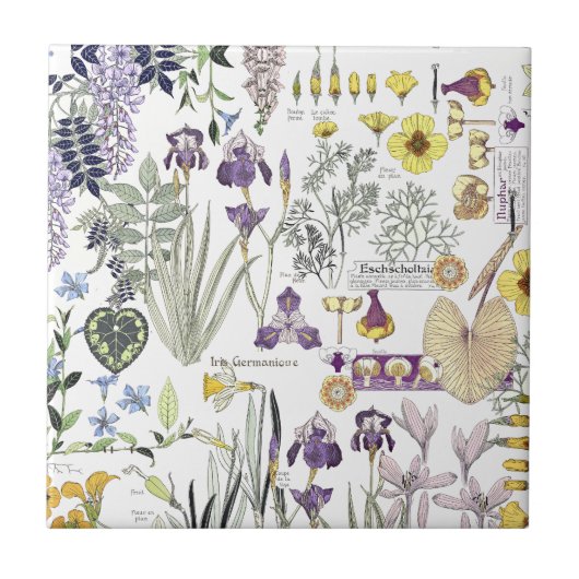 Französische Kunst Nouveau Vintage Fliese (Vorderseite)