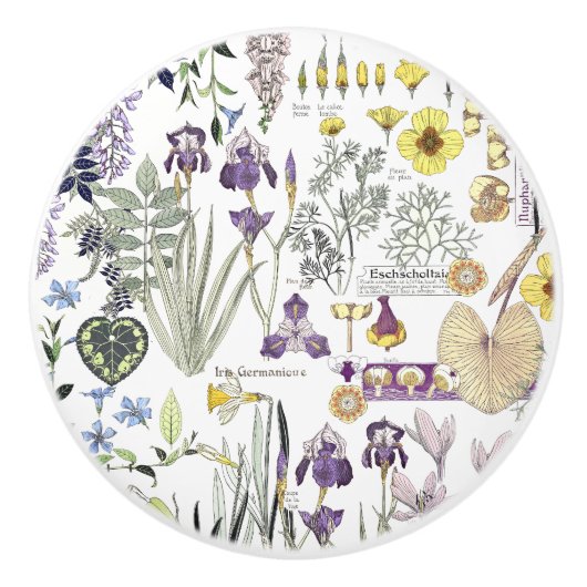 Französische Kunst Nouveau Vintager Keramikknauf (Vorderseite)