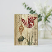 Französische Landeskripte botanische Frühlingstupp Postkarte (Stehend Vorderseite)