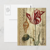 Französische Landeskripte botanische Frühlingstupp Postkarte (Vorne/Hinten)