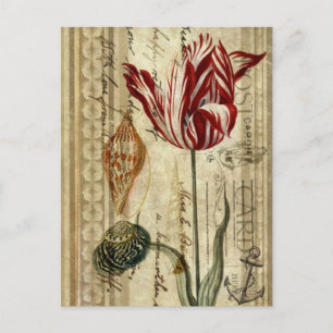 Französische Landeskripte botanische Frühlingstupp Postkarte