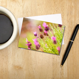Französische Lavendel-Blume Mitteilungskarten