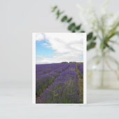 Französische Lavendelfelder Postkarte (Stehend Vorderseite)