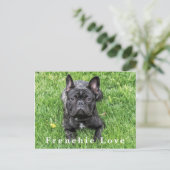 Französische Liebe Französische Bulldog Foto Postc Postkarte (Stehend Vorderseite)
