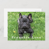 Französische Liebe Französische Bulldog Foto Postc Postkarte (Vorne/Hinten)