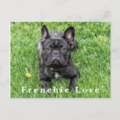Französische Liebe Französische Bulldog Foto Postc Postkarte (Vorderseite)