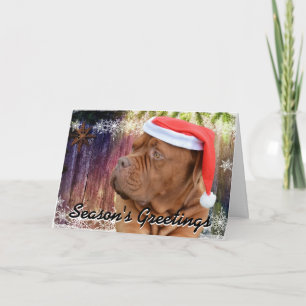 Französische Mastiff-Weihnachtskarte Feiertagskarte