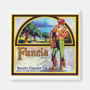 Französische Orangen Magnet