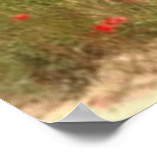 Französische Poppies in Südfrankreich Poster (Ecke)