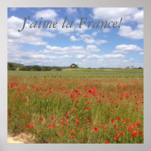 Französische Poppies in Südfrankreich Poster
