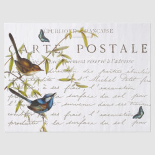 Französische Postkarte im Vintage-Stil mit Schrift Seidenpapier