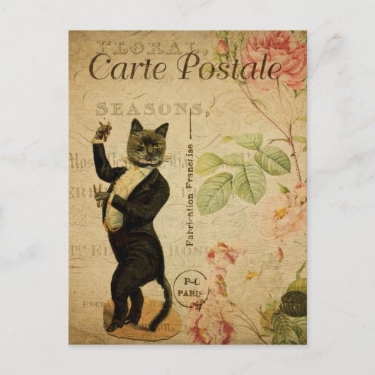 Französische Postkarte Tuxedo (Vorderseite)