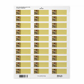 Französische Postkartenadresse (Vorne)