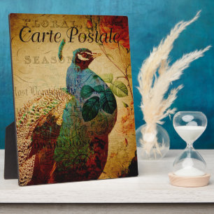 Französische Postkartenebene Fotoplatte